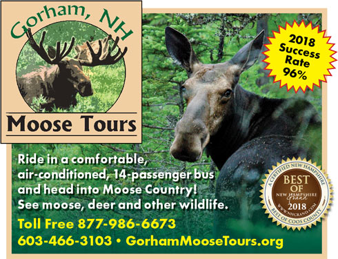 gorham moose tours 